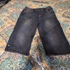 Style & Co Jean Shorts Gems Wings Western Large Stitching Size 14